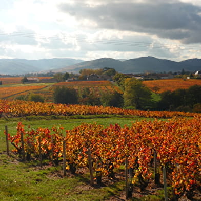 Les sentiers du Gaulois