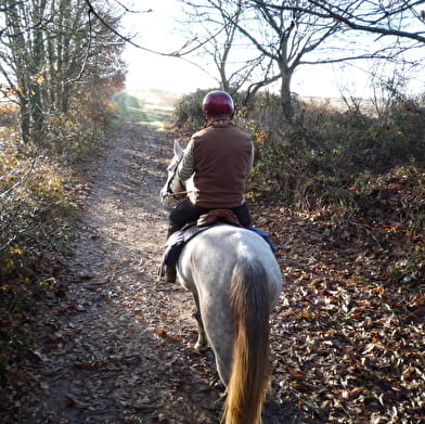 Tour équestre du Morvan