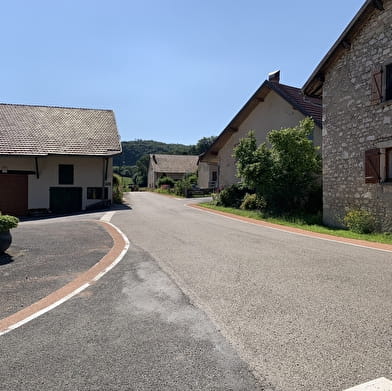 Randonnée - Forêt de la ravière et de Jailloux