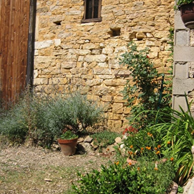 Circuit VTT n°11 (bleu) - Tour de la Forêt de la Motte - Site du Grand Brûle