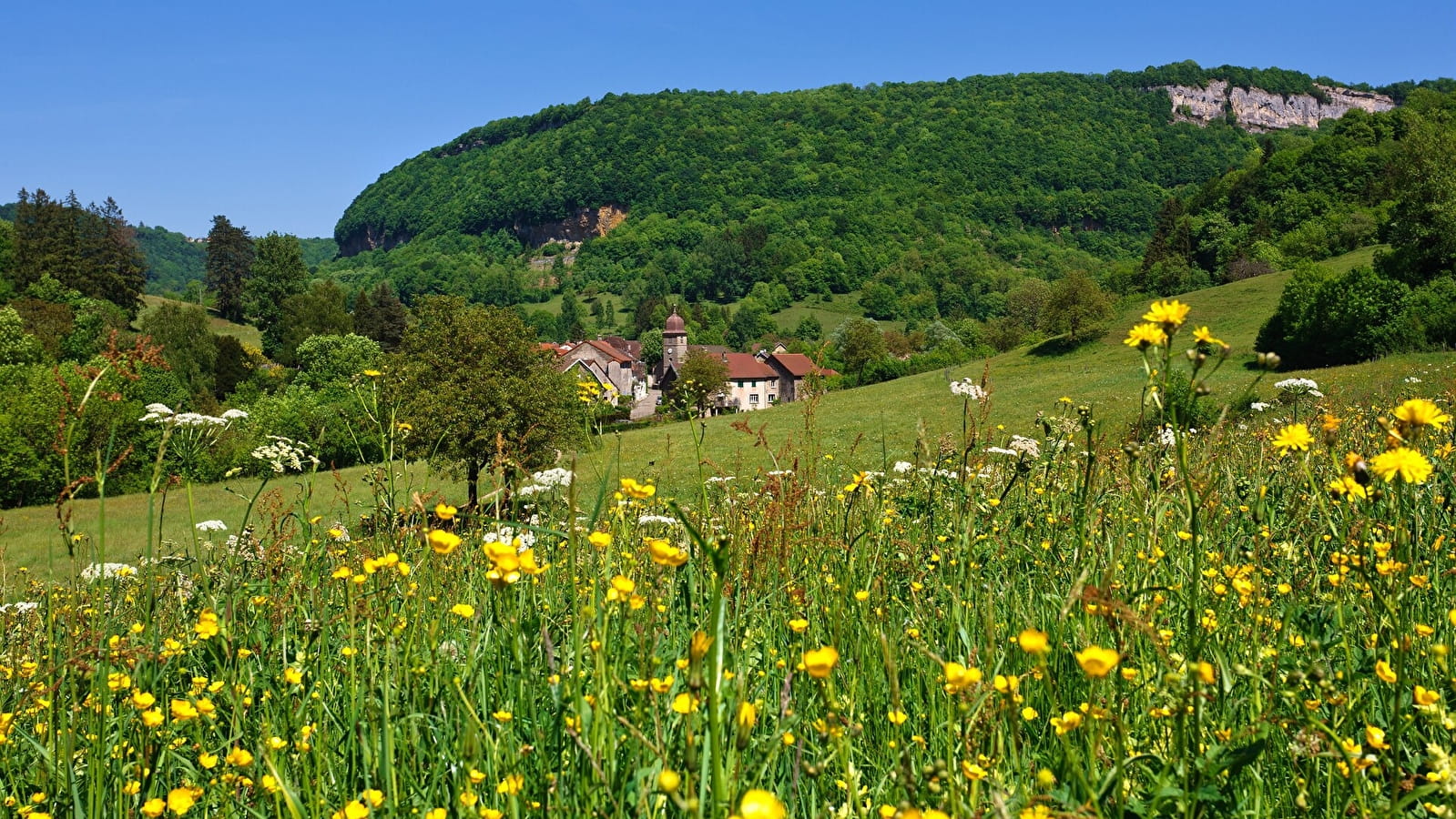 La Reculée de Blois-sur-Seille