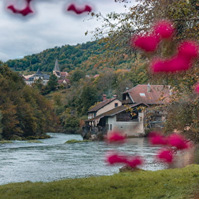 Roche de Hautepierre