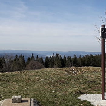 Le Grand Taureau - PONTARLIER