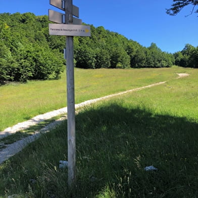 Parcours trail de la ronde des Plans