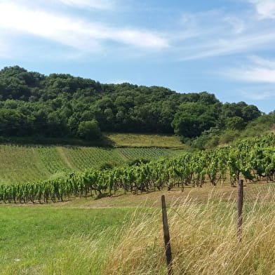 Sentier des Ecureuils
