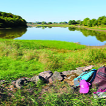 Les Bruyères  - LES BIZOTS