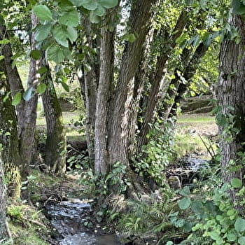Moulin neuf - GOURDON