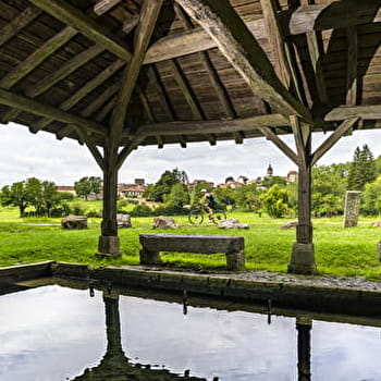 Liaison VTT (L) Treffort - Simandre sur Suran - VAL-REVERMONT