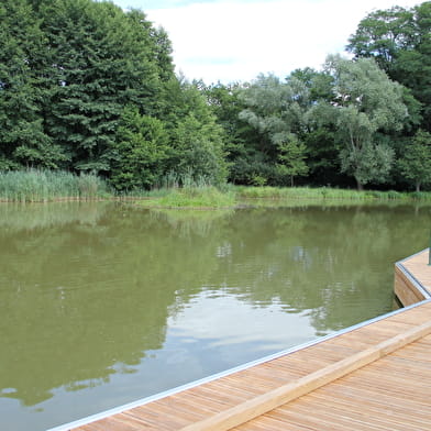 Balade - Tour du plan d'eau de la Grange du Pin