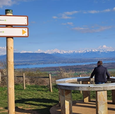 Randonnée pédestre : Grilly - le Mont Mourex