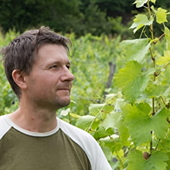 Domaine Hughes Beguet - MESNAY