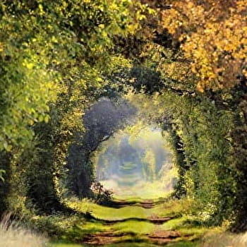 La butte de Test-Milon - LAIN