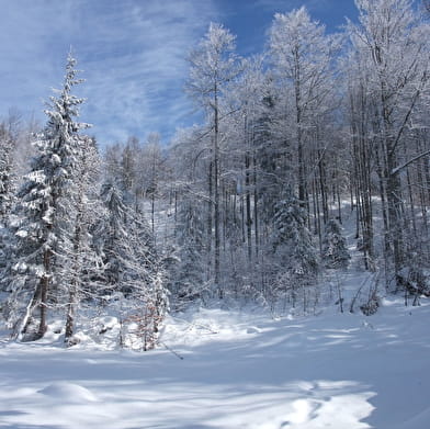 Le grand tour du lac Genin - Circuit raquettes
