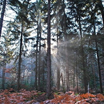 Autour des Mardelles - PREMERY