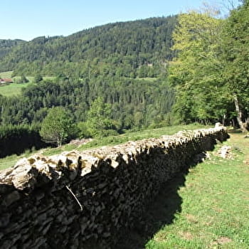 Mur-Mur(es) de pierres - LAVAL-LE-PRIEURE