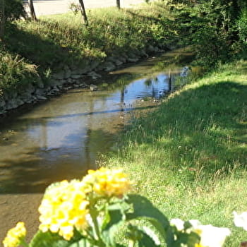 Circuit 'Escapade nature au coeur du bocage bressan' - VONNAS