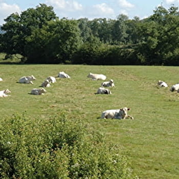De Frôlois à Corpoyer - FROLOIS