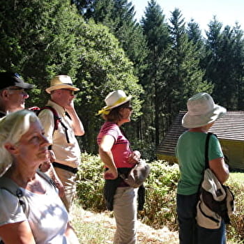 Circuit des Roches de Glenne - LA GRANDE-VERRIERE