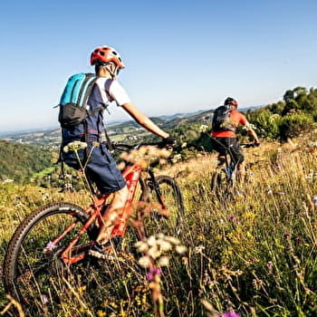 La Vallée du Savignard - 71R - MACORNAY