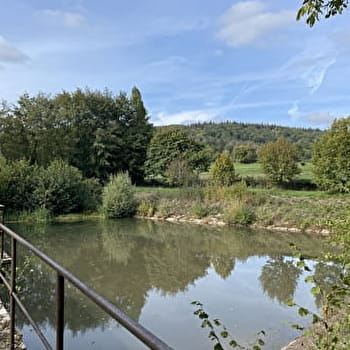 Les Afforêts - BURNAND