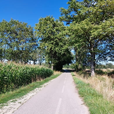 Voie verte des Tattes