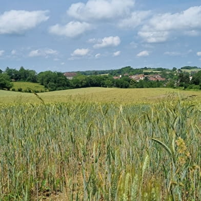 Circuit VTTAE n°9 (rouge) Revers du Revermont - version courte