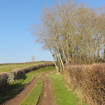 Les Pierres - LES BIZOTS