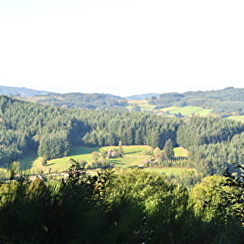 Les charmes - Beaujolais - Saint-Igny-De-Vers - SAINT-IGNY-DE-VERS