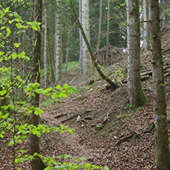 Pierre qui tourne - n°11 - MALPAS