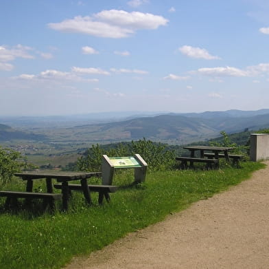 Sentier découverte de la Terrasse de Chiroubles