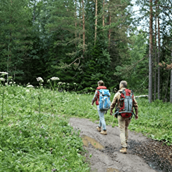 Les bois de la Chapelle - FLOGNY-LA-CHAPELLE