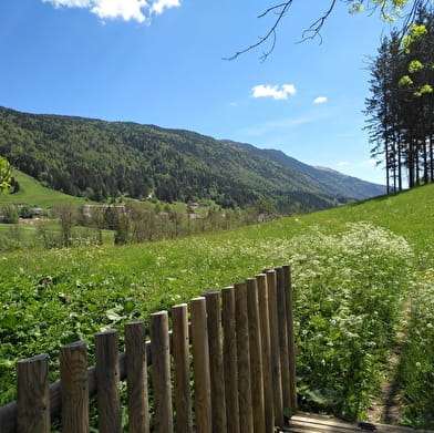 Randonnée pédestre : Lélex - La Valserine, rivière sauvage