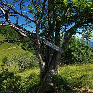Kilomètre Vertical du Grand Colombier : Chanduraz depuis Béon