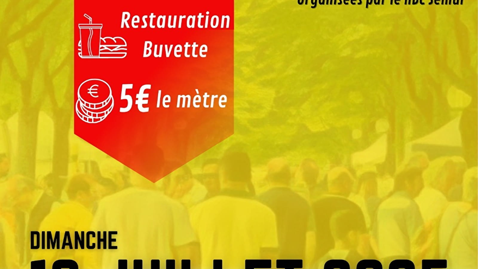 Les puces semuroises