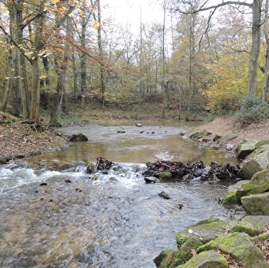 Rando 'Découverte de Brignais'