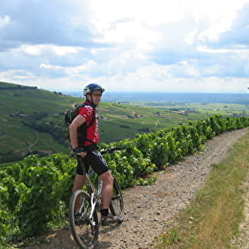 Circuit VTT B2 de Juliénas à Jullié - JULIENAS