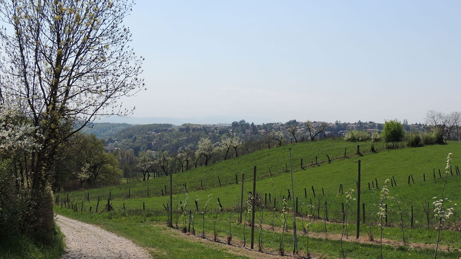 Rando 'Découverte de Brignais'