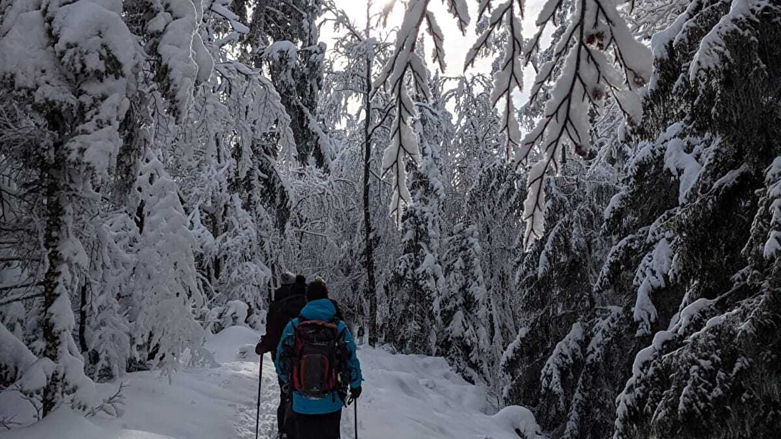 GTJ raquettes - La Pesse - Giron