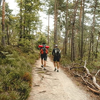 Balade le Marais - THOIRY