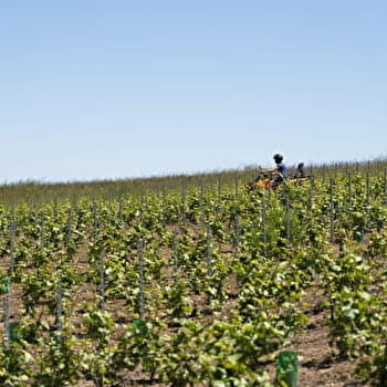 Parcours de découverte culturelle : d'Autun à Couches - AUTUN