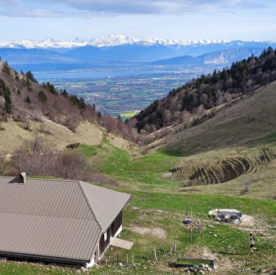 Randonnée pédestre : La Marche Populaire de Gex