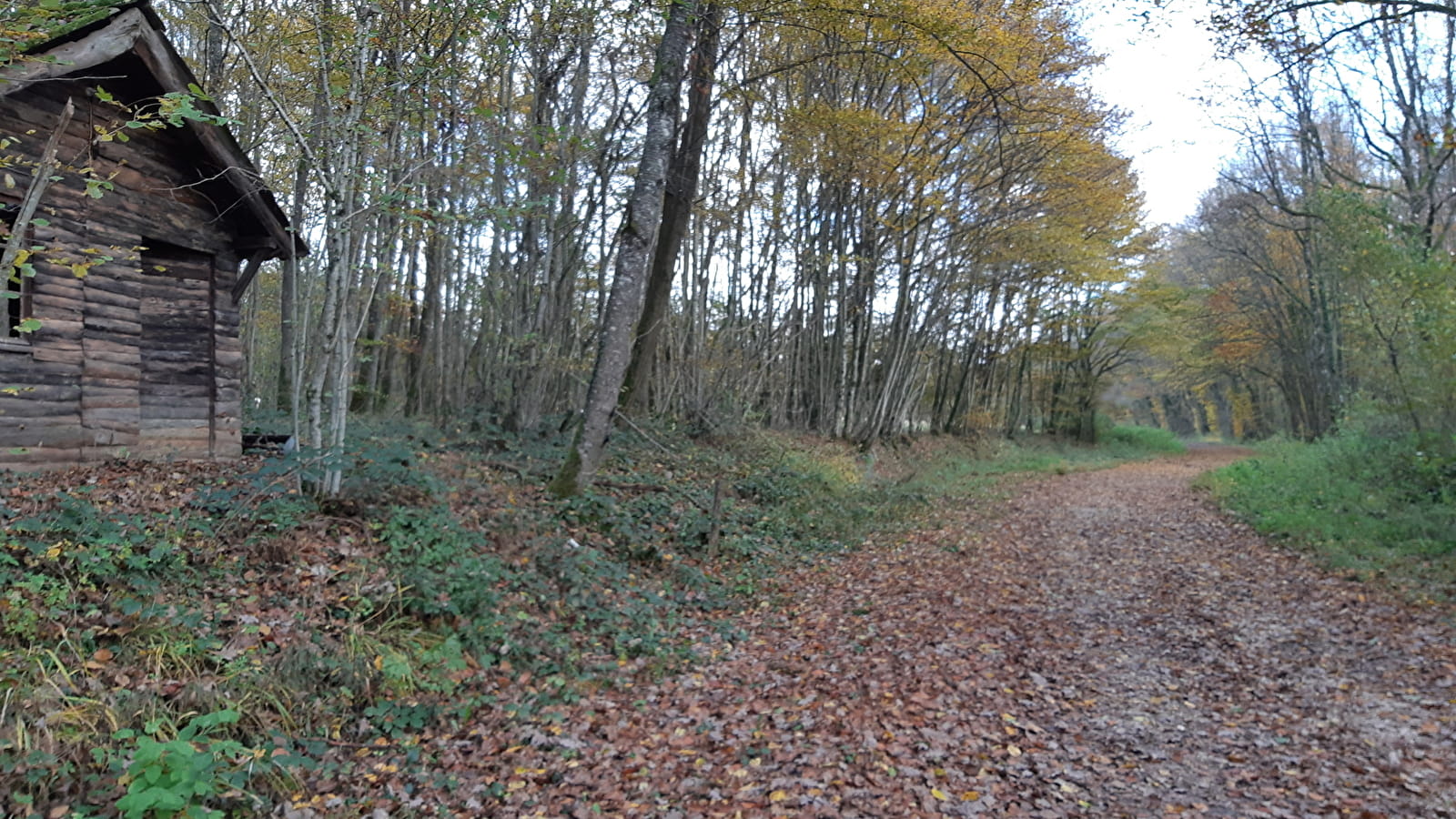 Bois de Fougemagne - Vallées Solnan et Sevron (VTT)