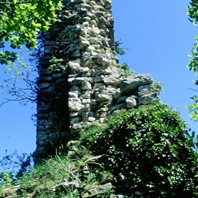 Château de Montfort, éperon barré celte ou site médiéval