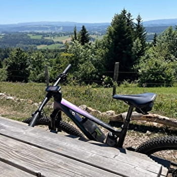 Le Faux Verger - n°19 - MAICHE