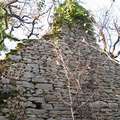 Mont Nivigne - Crête du Lomont
