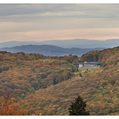 Vers les bois du Folin
