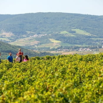 Les sentiers belles vues - Saint-Vérand - SAINT-VERAND