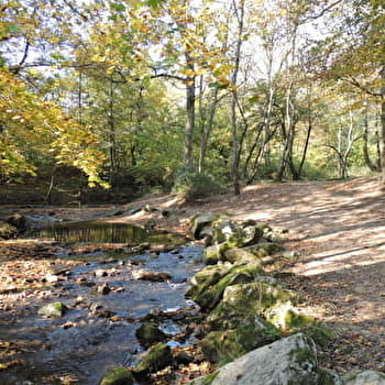 Circuit VTT 200 - Le Garon - BRIGNAIS