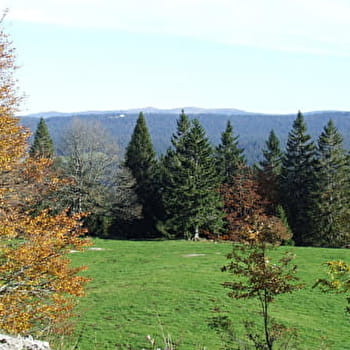 Pré d'Haut - CHAPELLE-DES-BOIS