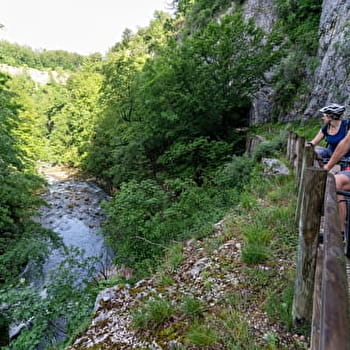 Entre Saine et Lemme - 69R - CHAUX-DES-CROTENAY